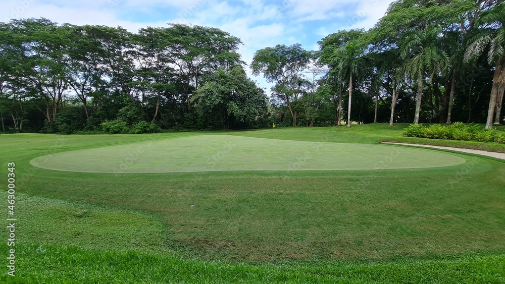 Green area near a golf course hole