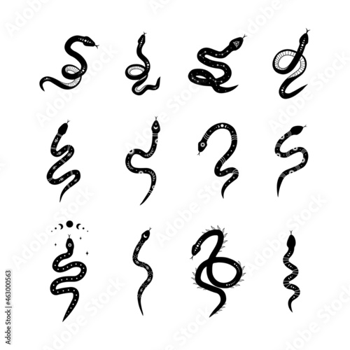 Magic snake in boho style with moon. Collection of mystical symbol in a trendy minimalist style. Esoteric vector illustration.