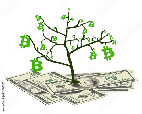 Concept of converting bitcoin from dollars isolated on white. The bitcoin tree grows on $ 100 bills. Vector illustration.