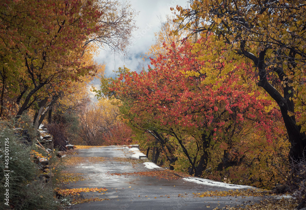 Obraz premium Second Spring !! 