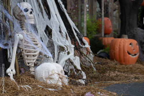 human skeleton with halloween pumpkin