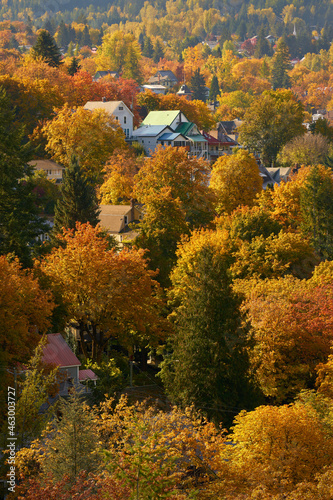 Nelson BC Autumn Colours. Nelson is a city located in the Selkirk Mountains on the West Arm of Kootenay Lake in the Southern Interior of British Columbia, Canada.

 photo