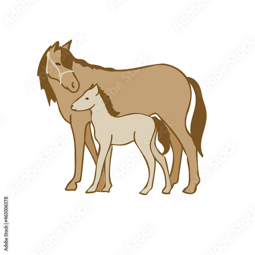 horse with foal