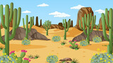 Desert forest landscape at daytime scene with many cactuses