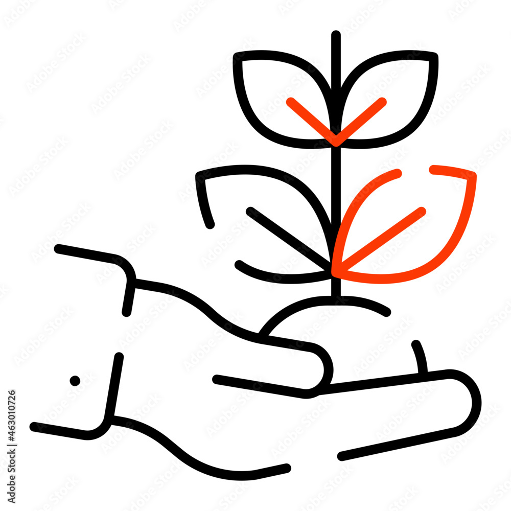 Plant on hand denoting concept of plant care Plant on hand denoting concept of plant care
