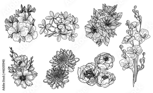 flowers set hand sketch drawing black and white
