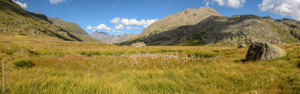 Fototapeta premium Grand paradis national park in the Alps, Italy, Aoste Valley.Panoramic, panorama.