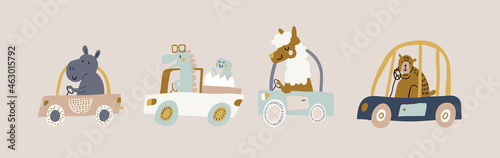 Vector set with cute animals riding the car in colorful flat cartoon style. Doodle animals drivers set. hippo, dino, dinosaur baby, llama alpaca and bear in transport isolated
