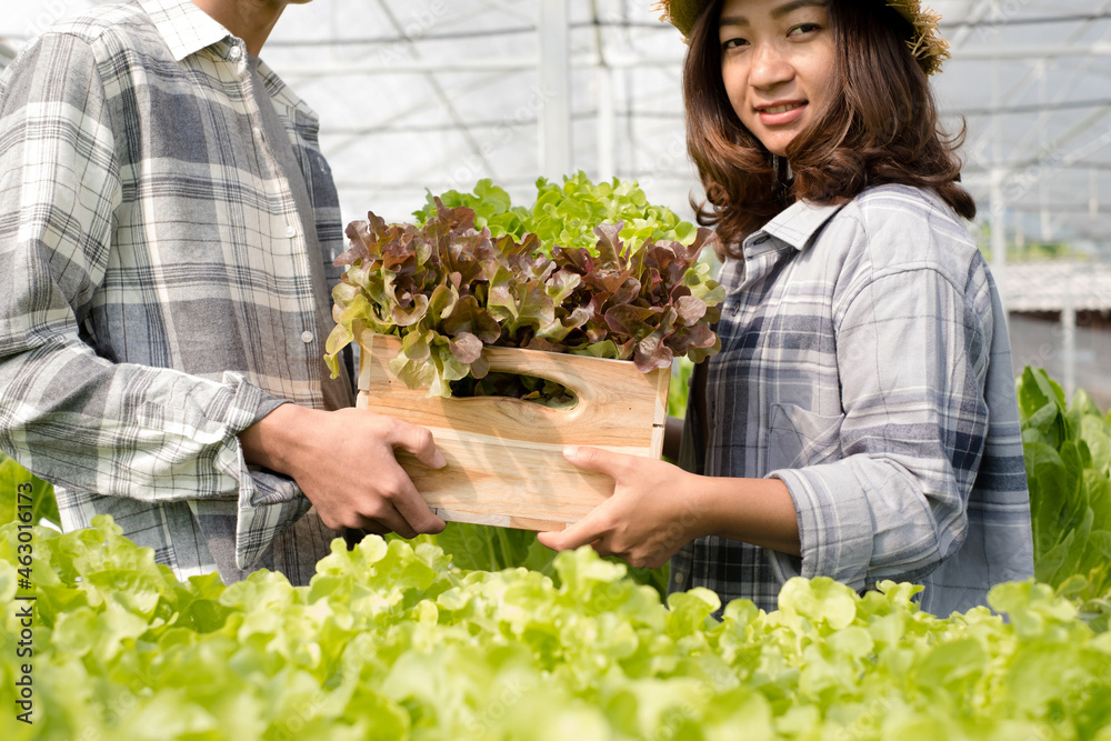 Obraz premium Hydroponics, smiling young Asian couple farmers holding vegetable baskets, standing on a farm, growing organic, commercial organic vegetables. Organic farming business concept