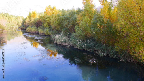  autumn  tree  river  reflection