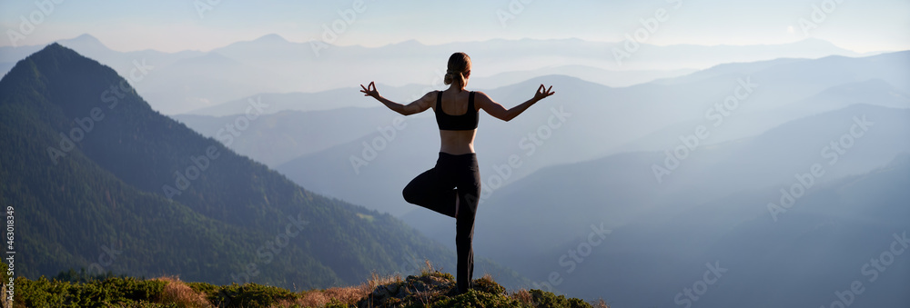 Back view of young woman performing yoga pose on grassy hill and looking at beautiful mountains. Sporty woman standing on one leg and doing Gyan mudra hand gesture while practicing yoga outdoors. - obrazy, fototapety, plakaty 