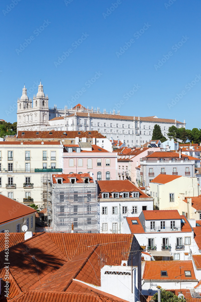 Lisbon Portugal city travel view of Alfama old town with church Sao Vicente de Fora and palm portrait format