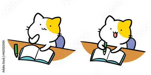 勉強するかわいいねこのキャラクターの手書き風イラスト
