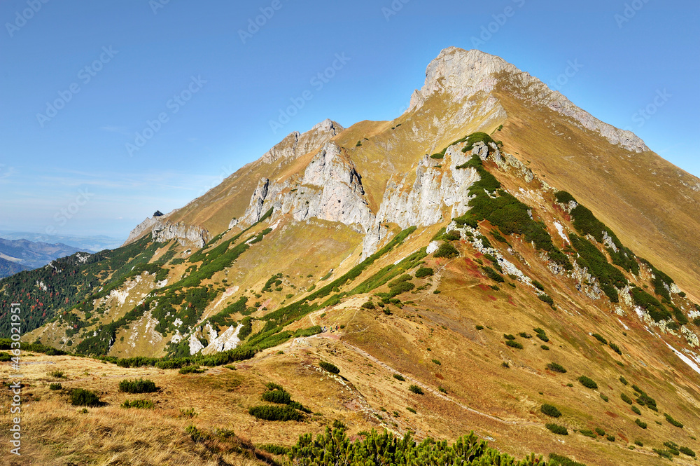 Fototapeta premium Široké sedlo