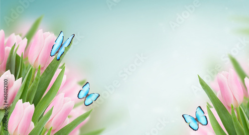 Fototapeta Naklejka Na Ścianę i Meble -  close up of pink tulips