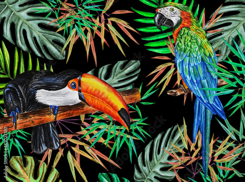 Tropics. Watercolor  pattern with  macaw parrot, toucan, jungle leaves on a dark background. The idea of design, textiles, packaging, wallpaper and more.