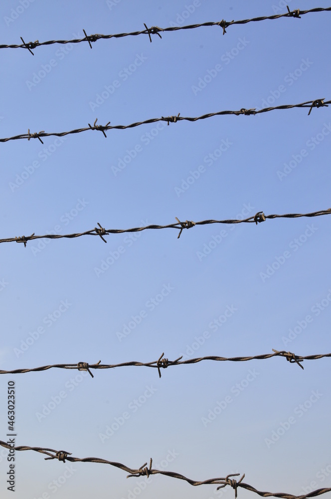 Rusty barbed wire, blue sky background Rusty barbed wire, blue sky background