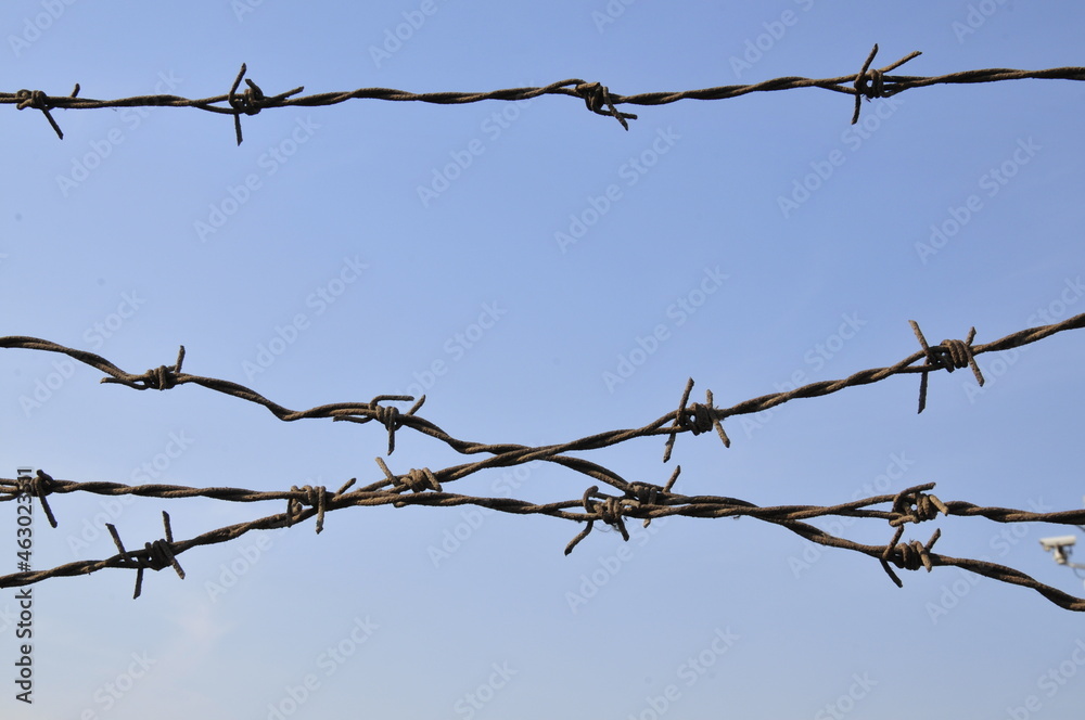 Rusty barbed wire, blue sky background Rusty barbed wire, blue sky background