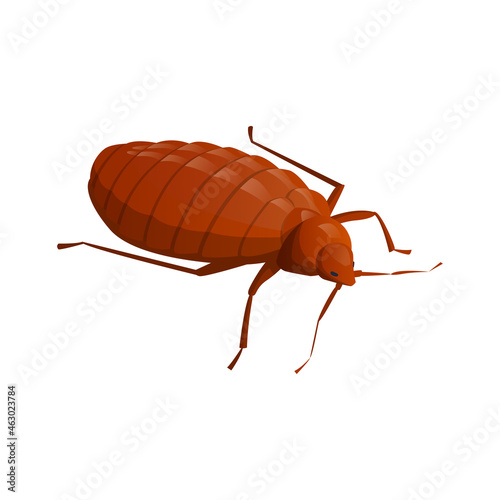 Cockroach Isometric Icon