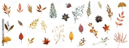 Autumn Leaves elements set