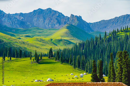 Yurt and grassland scenery,Outdoor life of nomads