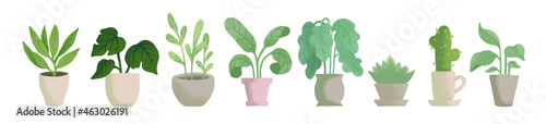 Fotografie, Obraz potted house plant vector illustrations in simple flat hand drawn style