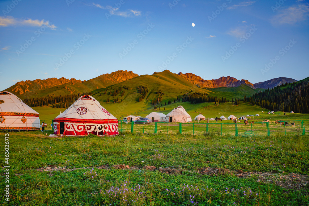 Yurt and grassland scenery,Outdoor life of nomads