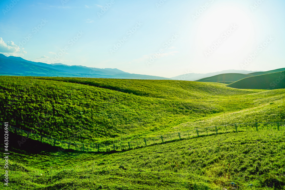 Obraz premium Prairie pasture, expansive natural scenery, sunset light