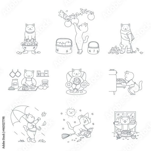 Collection of cute kittens enjoying fall season. Autumn illustrations of cute cats walking with umbrella, drinking hot beverage, picking mushrooms and raking leaves. 