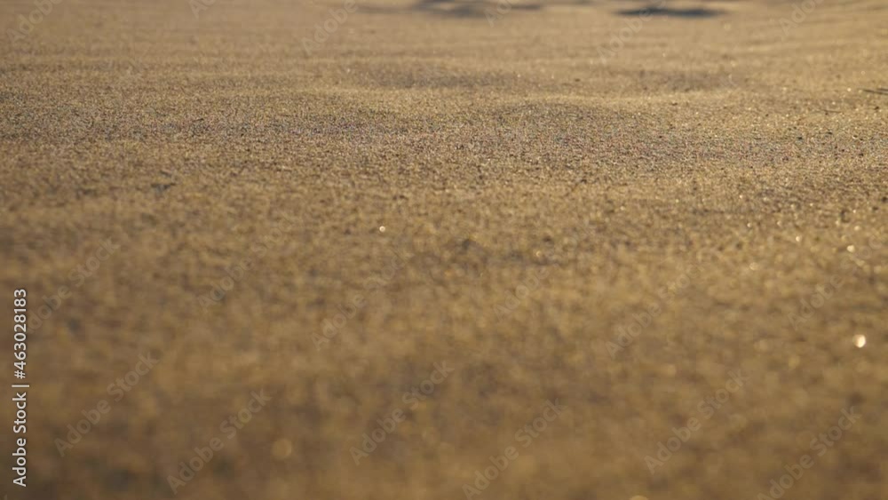 A slow motion shot of the movement of grains of sand. Macro shots of wind chasing sand A slow motion shot of the movement of grains of sand. Macro shots of wind chasing sand
