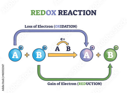 Redox reaction as atoms chemical oxidation states change outline diagram. Labeled educational explanation scheme with electron gain and loss in oxidation or reduction process vector illustration.
