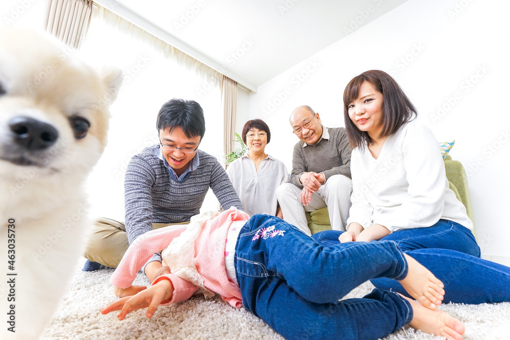 家族で遊ぶ 家族で遊ぶ