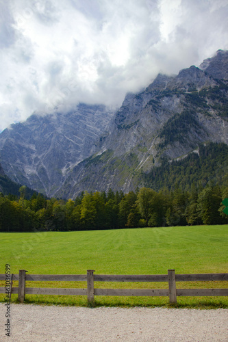 landscape with fence