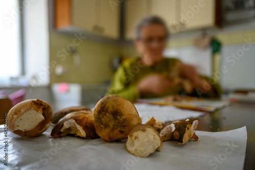 Funghi Porcini