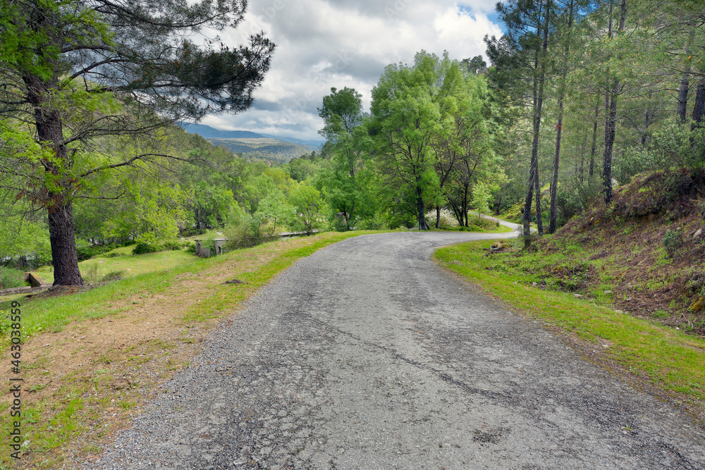 Carretera en el Valle de Iruelas. Avila. España. Europa