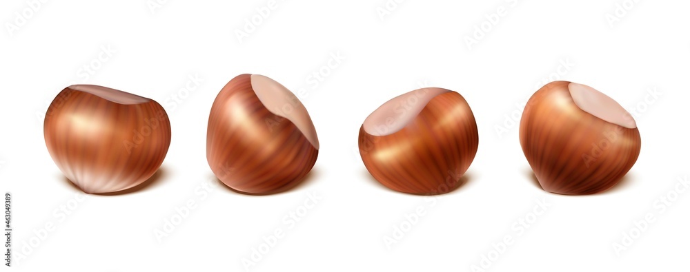 3d realistic vector icon. Hazelnuts in the shell. Isolated on white background. 3d realistic vector icon. Hazelnuts in the shell. Isolated on white background.