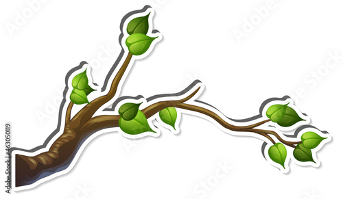 Tree branch with some leaves sticker on white background