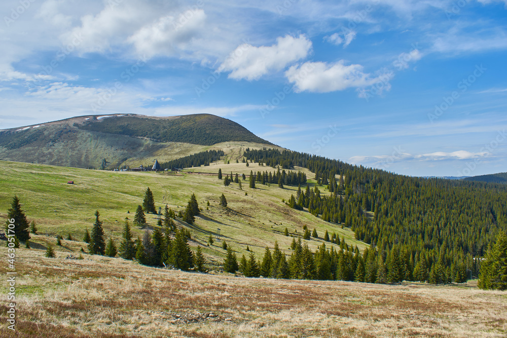 Panoramic view from the ski slope in mountains Sureanu with peak cloud sky and fir trees