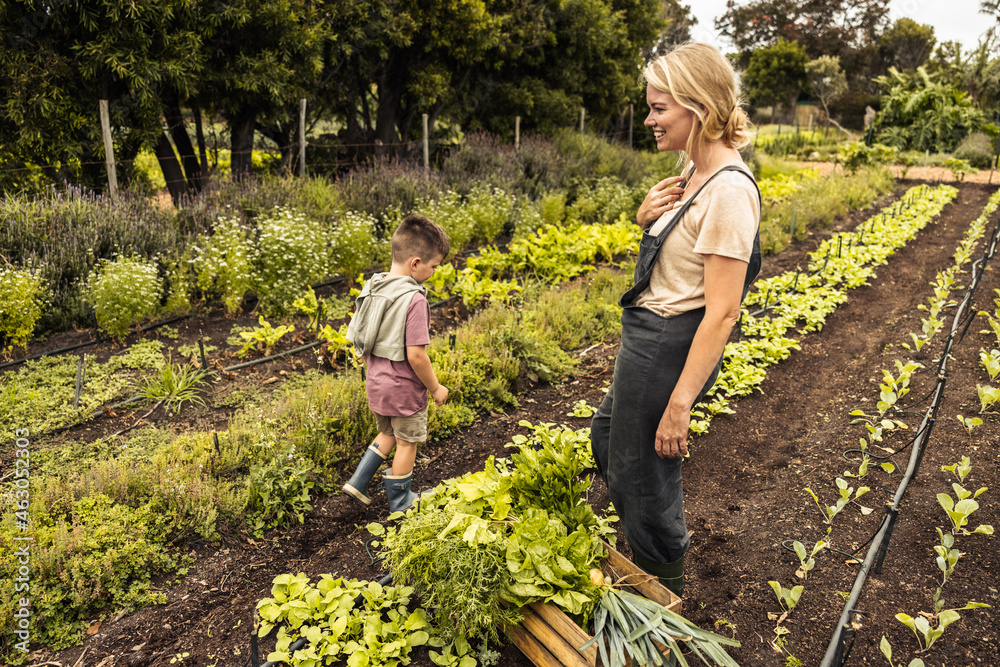 Happy single mother harvesting vegetables with her son - obrazy, fototapety, plakaty 