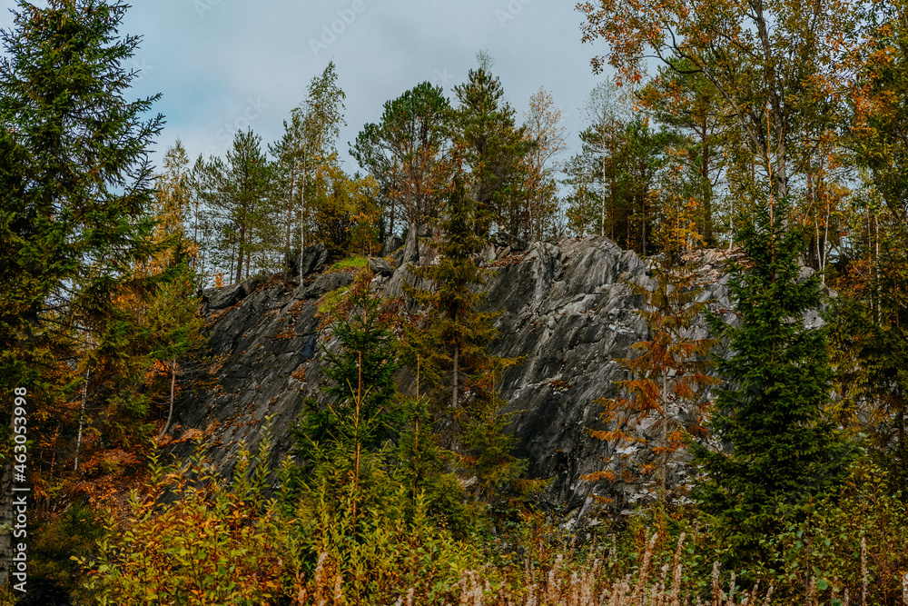 karelia autumn russia forest woods