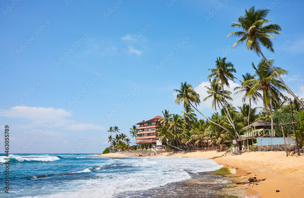  Tropical beach with coconut palm trees, Sri Lanka.