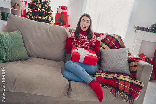 Photo of excited crazy impressed lady sit cozy couch hold knees present wear pullover in decorated x-mas home indoors