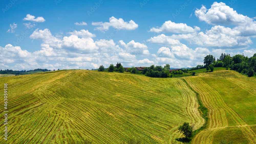Rural landscape near Sala Baganza and Fornovo, Parma, at springtime