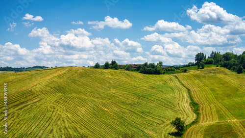 Rural landscape near Sala Baganza and Fornovo  Parma  at springtime