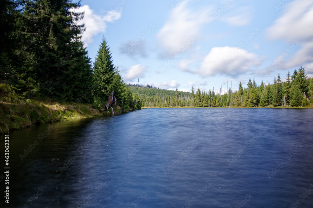 Fototapeta premium reflections in a small lake in the bavarian forest