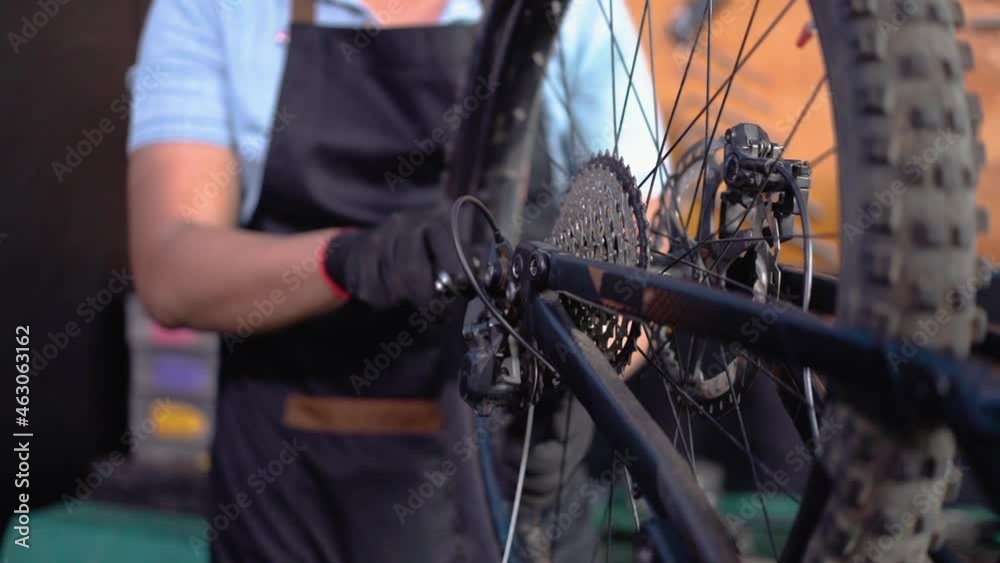 a bicycle mechanic in an apron checks the freewheel while repairing a bicycle wheel a bicycle mechanic in an apron checks the freewheel while repairing a bicycle wheel