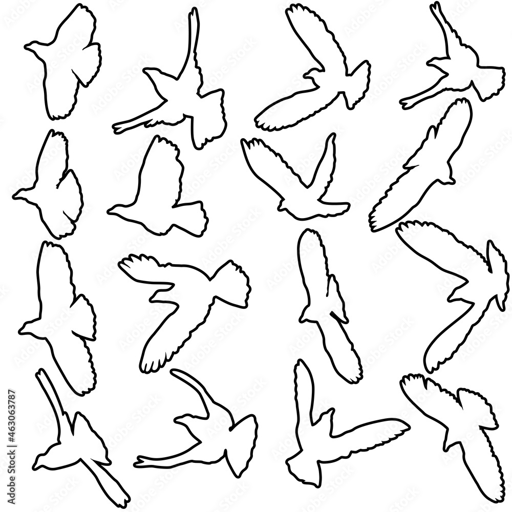 Concept of love or peace. Set silhouettes doves Concept of love or peace. Set silhouettes doves
