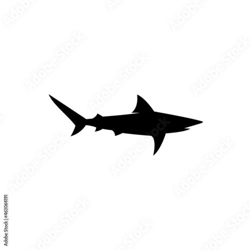 Illustration vector graphic template of shark silhouette logo