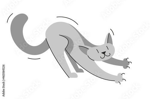 Cute cat playing and stretc...