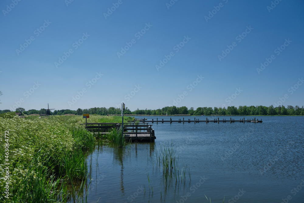 Lakeside in a typical dutch landscape in the summer